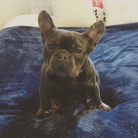 Meet your Posher, Cristal - Picture 1 of 1